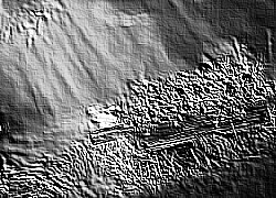 Skamielina
