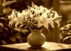 Sepia