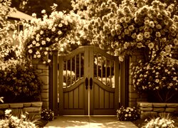 Sepia