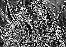 Skamielina
