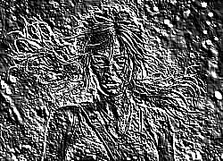 Skamielina