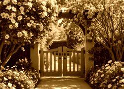 Sepia