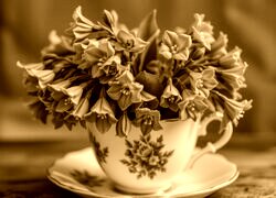 Sepia