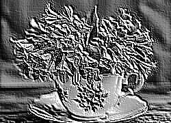 Skamielina
