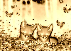 Sepia + Negatyw