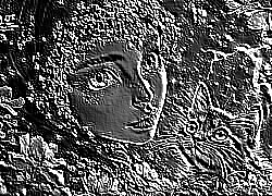 Skamielina