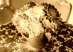 Sepia + Negatyw