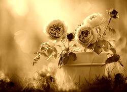Sepia