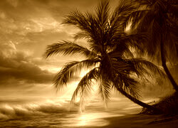 Sepia