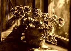 Sepia