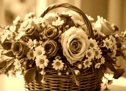 Sepia