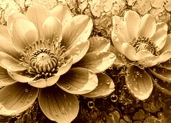 Sepia