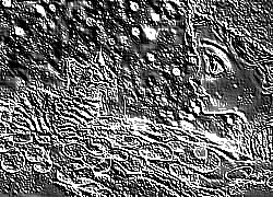 Skamielina