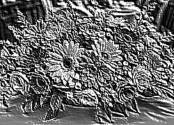 Skamielina