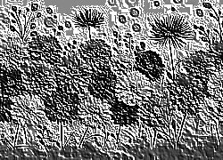 Skamielina