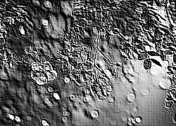 Skamielina