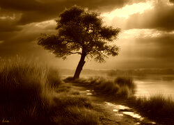 Sepia