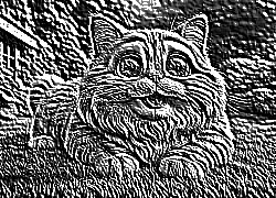 Skamielina