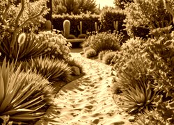 Sepia