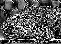 Skamielina