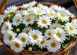 Oryginalny obrazek