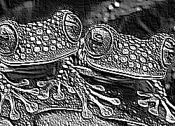 Skamielina