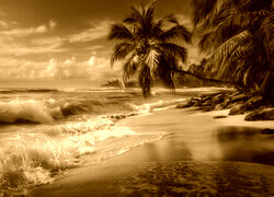Sepia