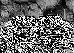 Skamielina