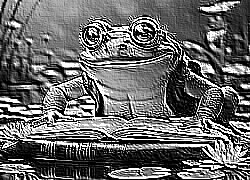 Skamielina