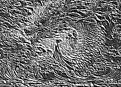 Skamielina