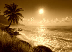 Sepia