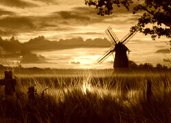 Sepia