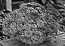 Skamielina