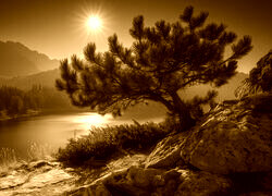 Sepia
