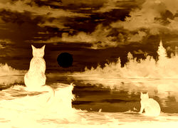 Sepia + Negatyw