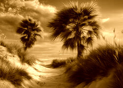 Sepia