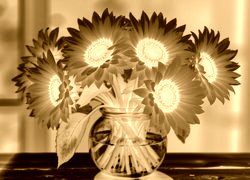 Sepia + Negatyw