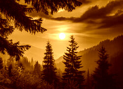 Sepia