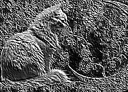 Skamielina