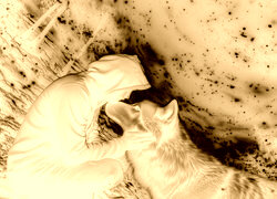 Sepia + Negatyw