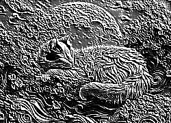 Skamielina