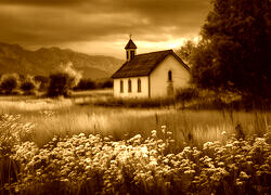 Sepia