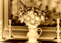 Sepia + Negatyw