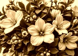 Sepia