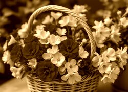 Sepia