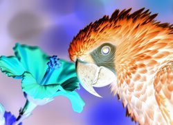 Negatyw