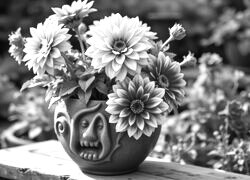 Szary + Sepia