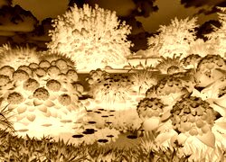 Sepia + Negatyw