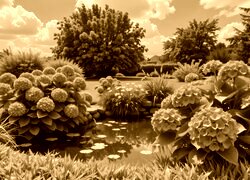 Sepia