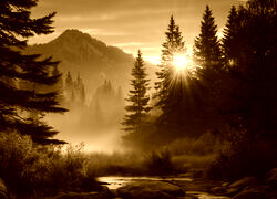 Sepia